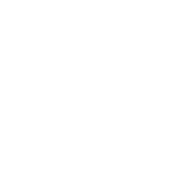 ozys_logo_white